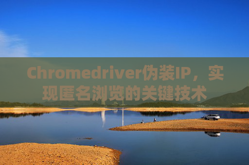 Chromedriver伪装IP，实现匿名浏览的关键技术